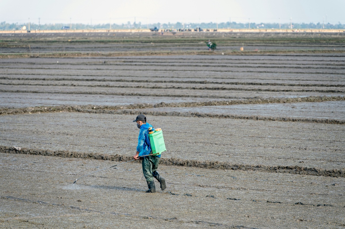 Agricultural Chemicals
